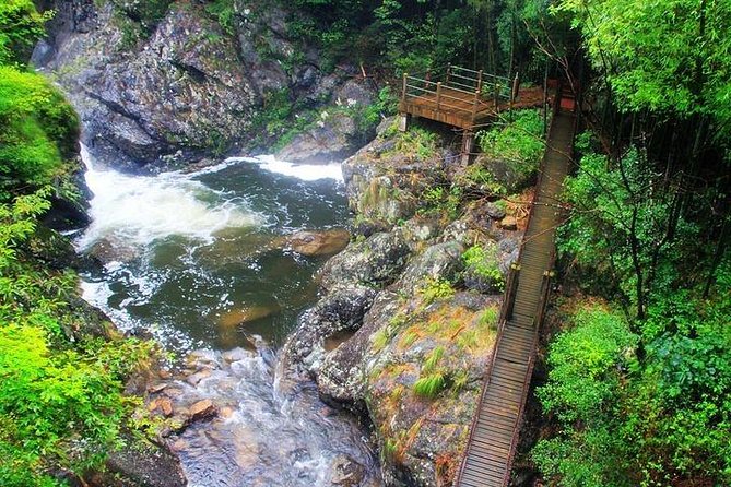 Dujiangyan Panda Base and Mount Qingcheng - Timing tips: when pandas are active and when Qingcheng feels best