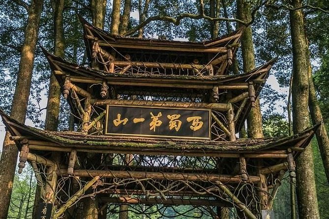 Dujiangyan Panda Base and Mount Qingcheng - Transport and service quality: private vehicle, hotel pickup, and real help