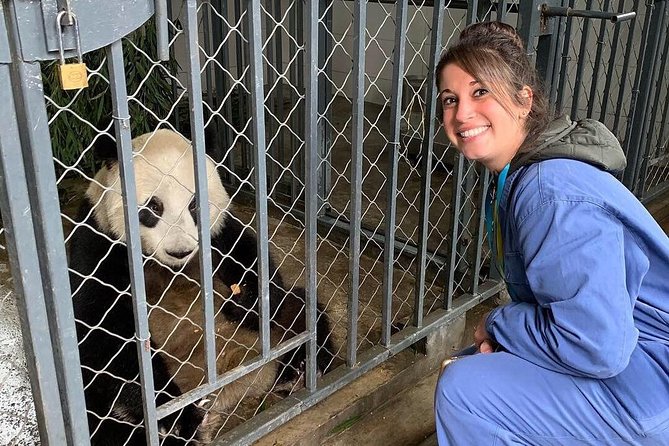 Dujiangyan Panda Volunteering Experience with Lunch - Dujiangyan Panda Base: more than a panda stop