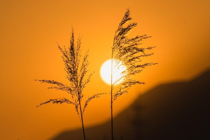 Early Bird Great Wall Private Tour with Chinese Breakfast from Beijing - Private car comfort, hotel pickup, and the time you actually save