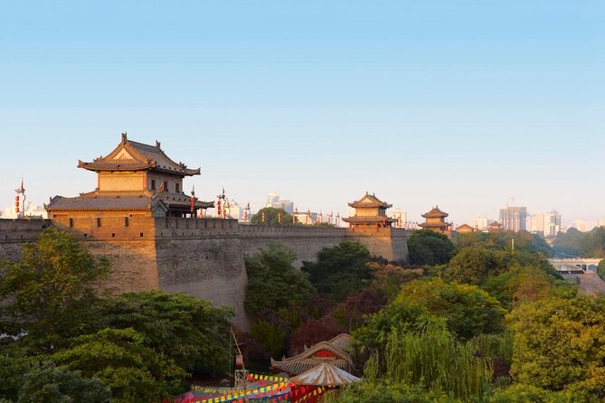 Essential Xi'an Private Day Tour Including Lunch - Key Highlights at a Glance