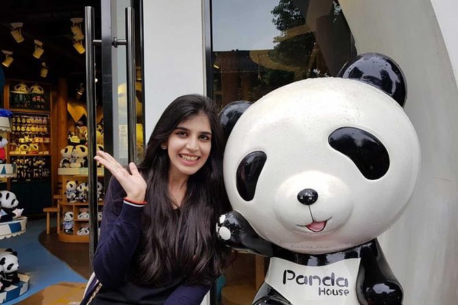 Everything Panda Private Day Tour in Chengdu - Price and Value for a Chengdu Private Panda Day