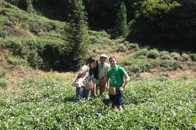 Experience Chengdu: Private Tea-Making Day Tour of Mengdingshan Tea Plantation - Private pickup and the two-hour ride up the mountain