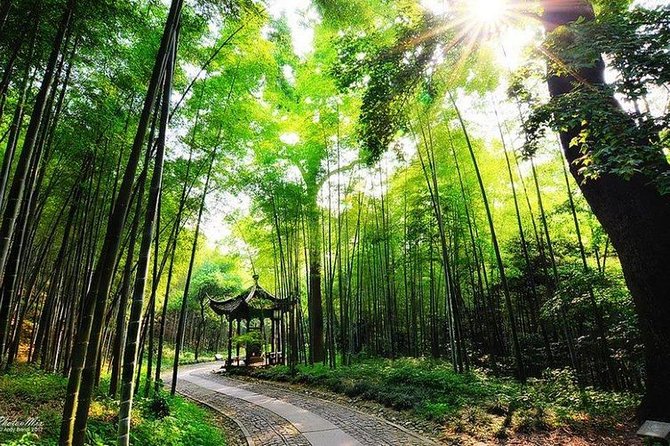 Flexible Hangzhou Private Day Tour with Lunch - Longjing tea fields: tea culture plus a real farm lunch
