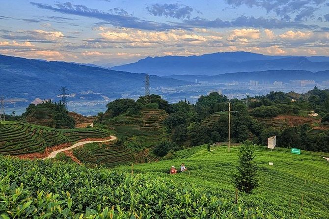 Flexible Hangzhou Private Day Tour with Lunch - Hefang Street: the old Hangzhou street walk you can control