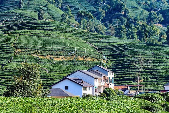 Flexible Hangzhou Private Tour from Shanghai by Bullet Train - Bullet train day trip, with your guide doing the work