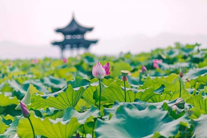 Flexible Hangzhou Private Tour from Shanghai by Bullet Train - Entering West Lake from the ground up, plus boat time if you upgrade