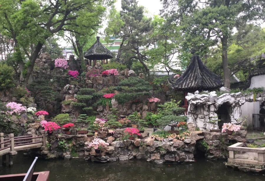 Flexible Layover Tour: Experience Shanghai on Your Schedule - Price and value: what $182 gets you and what it does not