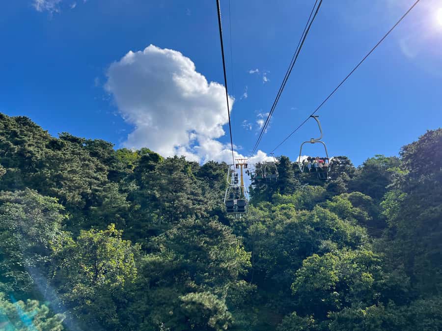 Forbidden City & Mutianyu Great Wall Small Group Day Tour - No Shopping, No Detour, and Why That Matters