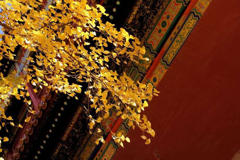 Forbidden City Of Beijing Tickets Booking And Other Option - Galleries and extras: Clocks and Watches, and Treasure options