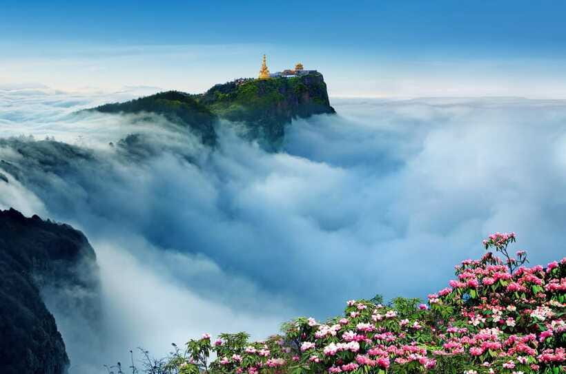 From Chengdu: Mount Emei Day Trip with Golden Summit Visit - Price and logistics: what you are actually paying for