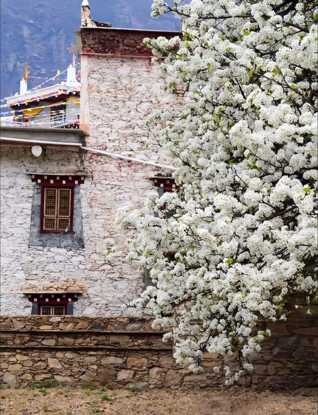 From Chengdu: Tibetan Village Live as a Tibetan Day Tour - Price and logistics: what you get for $159, and what can cost extra