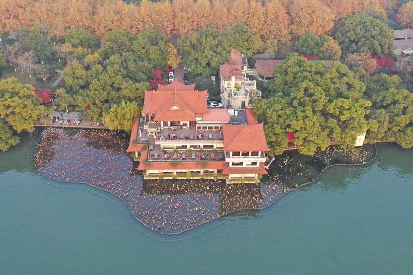 From Shanghai: Hangzhou Private Day Trip by Bullet Train - Lingyin Temple at Feilaifeng, or Huxueyan Former Residence
