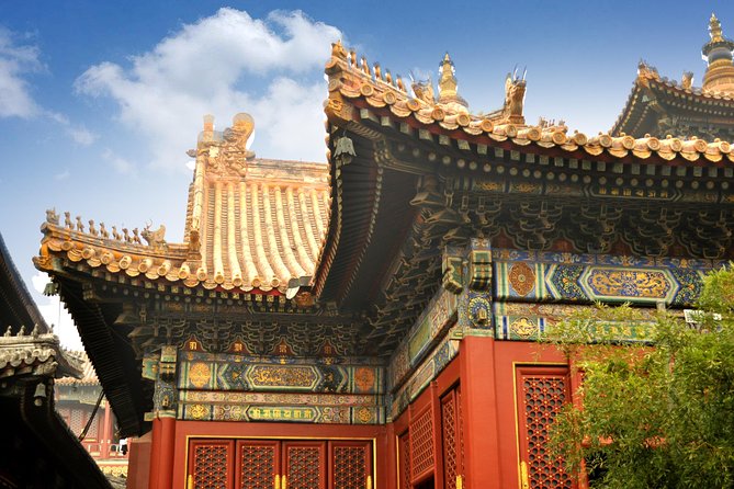 Full-Day Beijing City Tour: Hutongs, Lama Temple and Panda House - Panda House at Beijing Zoo: close-up panda time that actually fits