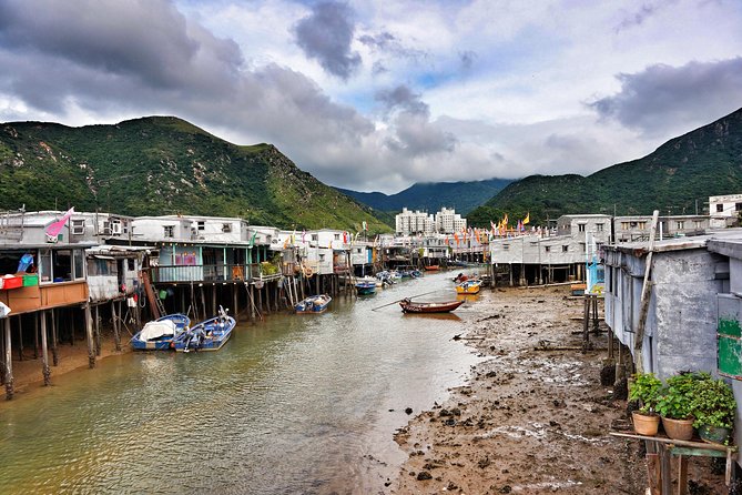 Full-Day Private Tour of Lantau Island including Big Buddha and Tai O - Boat ride through Tai O waterways: pink dolphins, plus a calmer pace