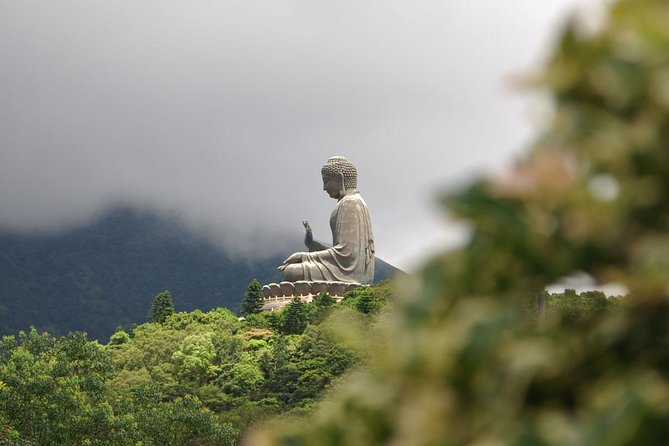 Full-Day Private Tour of Lantau Island including Big Buddha and Tai O - Ngong Ping 360 cable car: views first, stress later