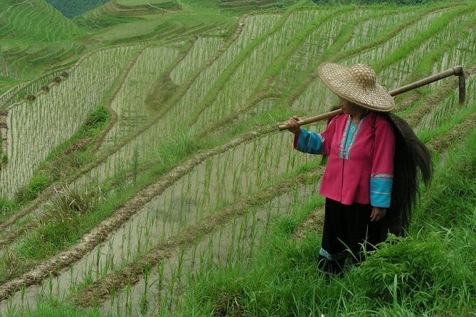 Fully-Guided Private Day Tour of Longji Terraces From Guilin - Reed Flute Cave: a neat add-on if you want one more stop