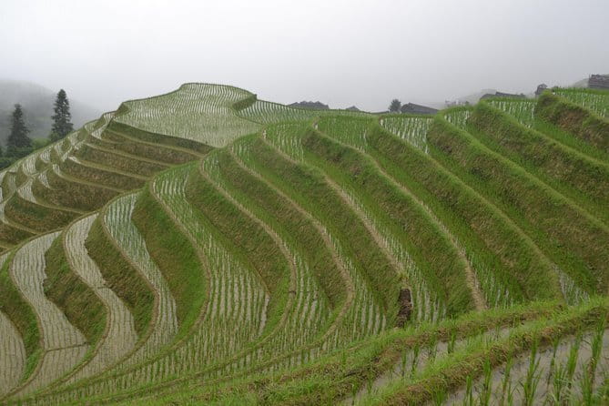 Fully-Guided Private Day Tour of Longji Terraces From Guilin - Price and value: what $72 gives you, and what you must budget for