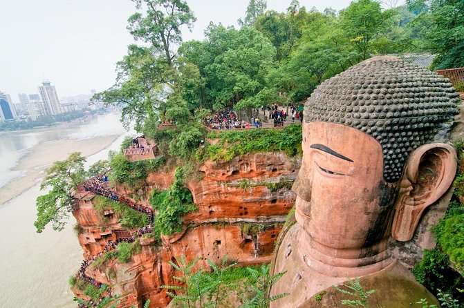 Giant Panda and Leshan Buddha Day Trip from Chengdu - Key highlights worth your time