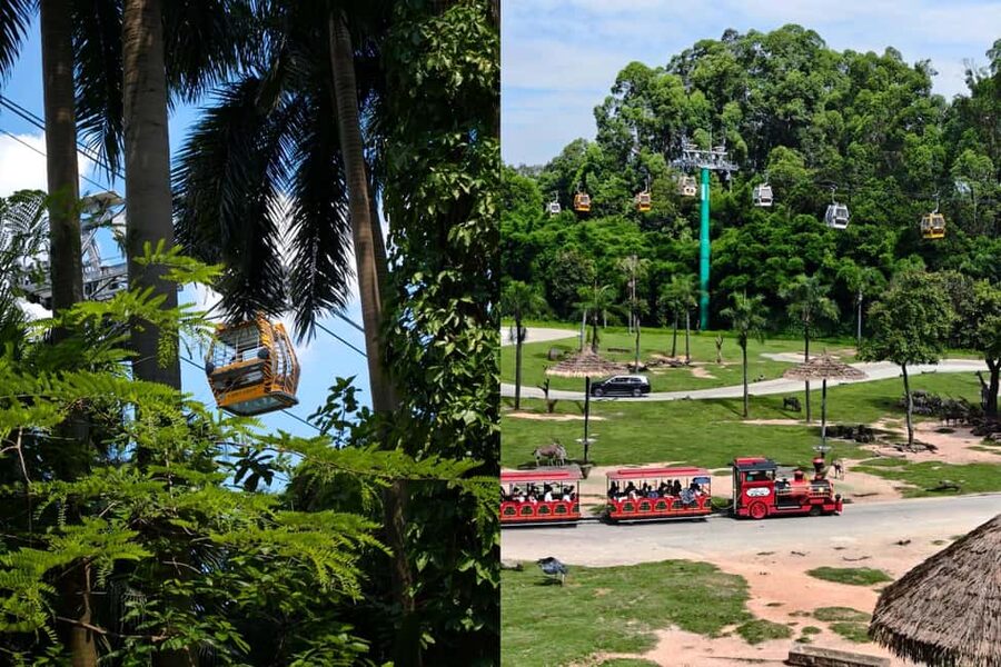 Guangzhou Chimelong: Safari Park/Paradise - Chimelong Paradise: Roller Coasters, Family Rides, and Height Limits
