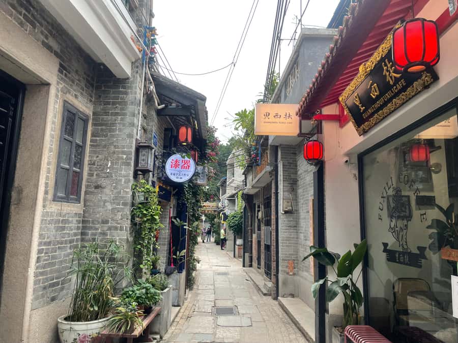 Guangzhou: Walking Tour of Xiguan Ancient Town - Food stops and snack street choices, including the fun stuff