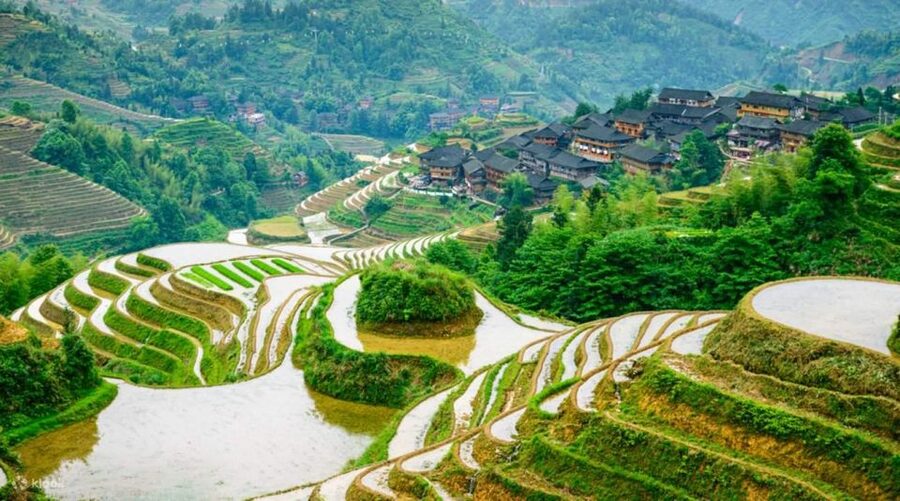 Guilin: 3-Day Private Tour with Longsheng&Cruise to Yangshuo - Practical tips you’ll thank yourself for