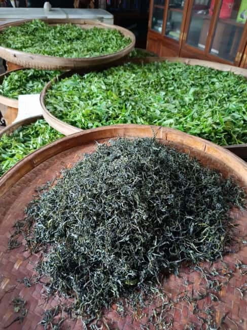 Guilin: City Tour with Elephant Hill & Ming Tea Tasting - Yao Mountain’s tea plantation: a Ming Dynasty royal tea garden visit