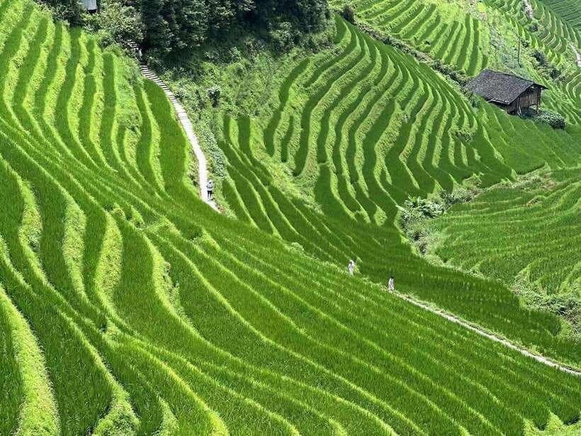 Guilin: Day tour of Longji Rice Terraces and Yangshuo - Why this Longji plus Yangshuo day plan makes sense