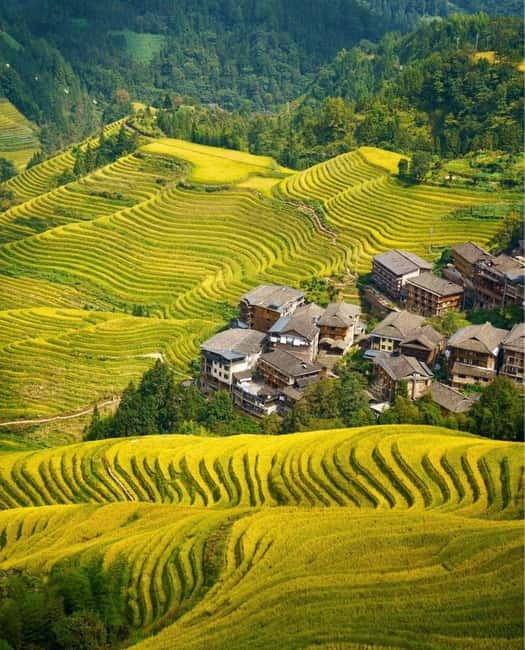 Guilin Longji: Rice Terrace with Oil-Tea Demo & Zhuang Lunch - Oil-tea workshop: peanuts, soybeans, and your own mix