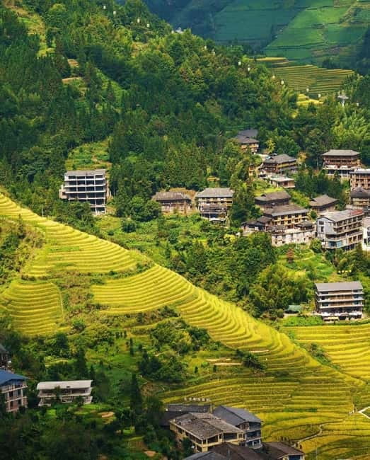 Guilin Longji: Rice Terrace with Oil-Tea Demo & Zhuang Lunch - Guzhuang Village: village life first, terraces second