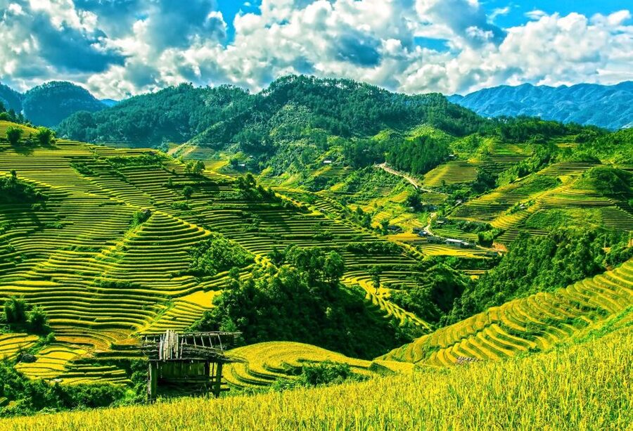 Guilin Longji Terraces Private Day Tour - Key highlights to look for