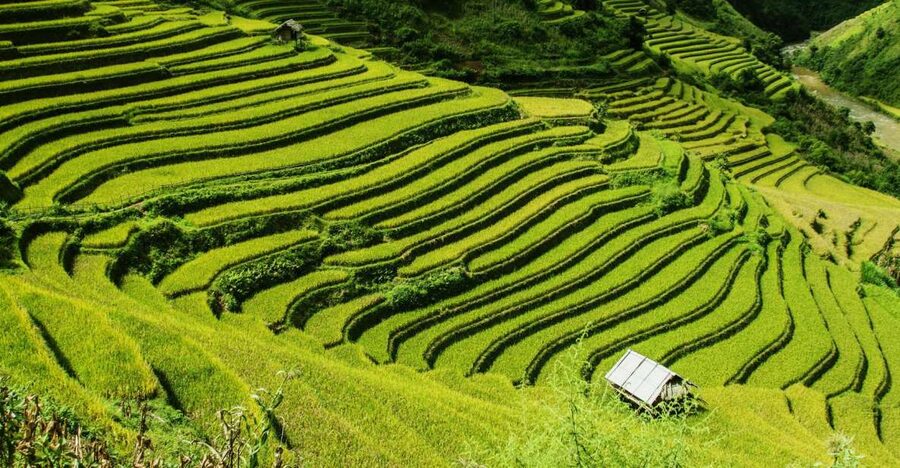 Guilin Longji Terraces Private Day Tour - From downtown Guilin to Longsheng, the ride sets the tone
