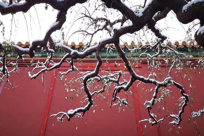 Half Day Beijing Group Tour to Tiananmen Square and Forbidden City - Tiananmen Square and the Forbidden City in a Half Day, Without the Headache