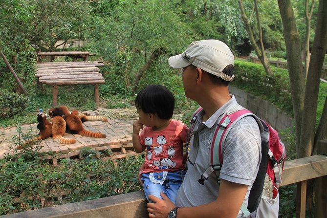 Half-Day Chengdu Panda Research Base Private Tour - How the Half-Day Schedule Works (Morning vs Afternoon)