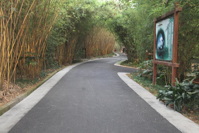 Half-Day Chengdu Panda Research Base Private Tour - Hotel Pickup That Gets You Into Panda Mode Fast