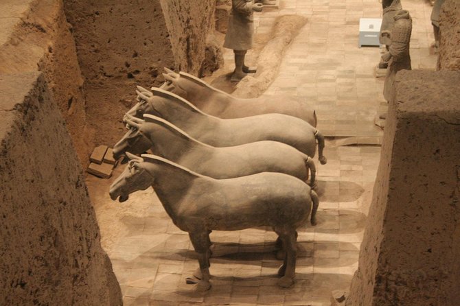 Half-Day Mini Group Xian Tour to Terracotta Warriors Museum - Lunch and Comfort: The Air-Conditioned Part You’ll Thank Yourself For