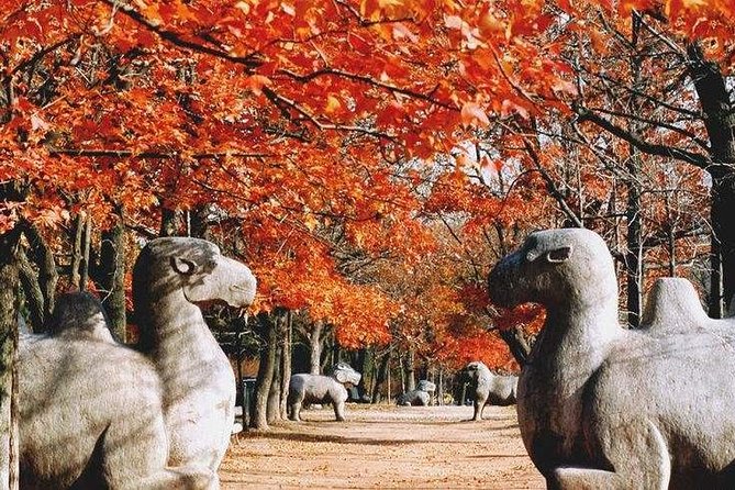Half-Day Private Customized Nanjing City Tour - Stop 2: Sun Yat-sen Mausoleum on Purple Mountain, the climb with the payoff