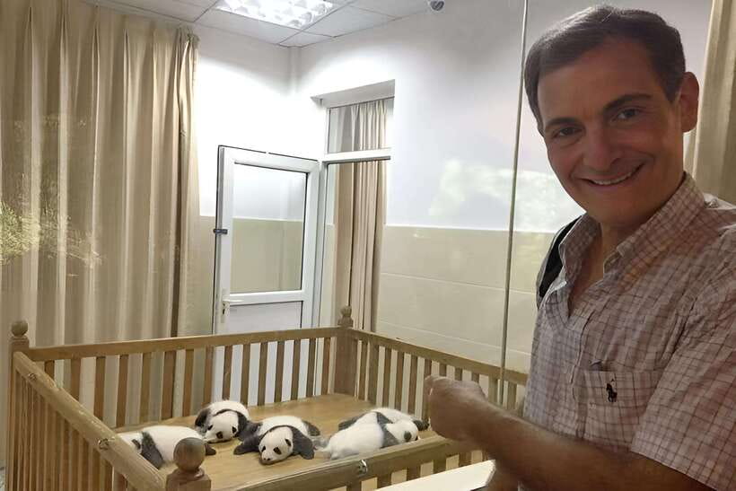 Half day small group tour to Chengdu Panda Breeding Center - Hotel Pickup Timing and the Ride Out of Chengdu