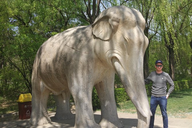 Half Day Tour to Ming Tombs Underground Palace and Sacred Path from Beijing - How the guide experience can change your day