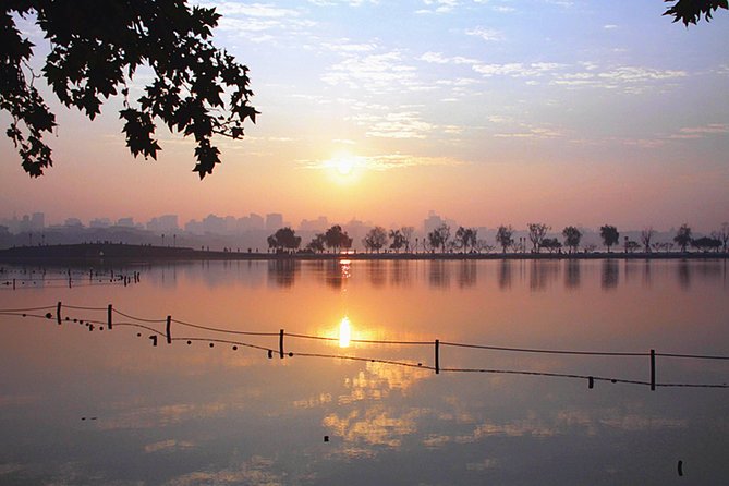 Hangzhou Cultural Legacies Tour for Asians and Overseas Chinese - Longjing Tea Fields and Lunch Options: Food That Matches the Tea Theme