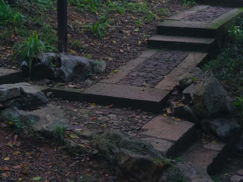 Hangzhou Insider Mini-Hike: TCM, Hill Views and Wet Market - Hu Qing Yu Tang Traditional Chinese Medicine museum: palace-scale apothecary life