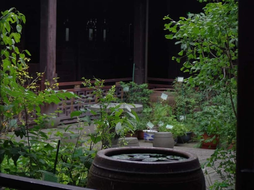 Hangzhou Insider Mini-Hike: TCM, Hill Views and Wet Market - The hidden pavilion West Lake viewpoint payoff