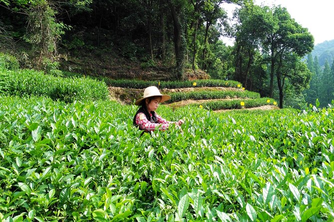 Hangzhou Private Customized Day Trip from Shanghai by Bullet Train - Bullet Train From Shanghai Hongqiao, Then Door-to-Door