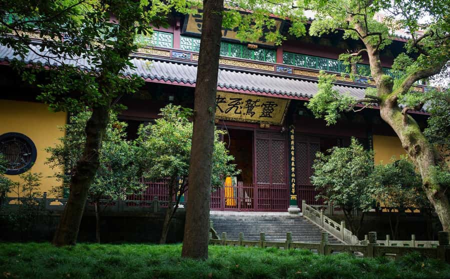 Hangzhou: Private Customized Tour of City's Top Sights - Meijiawu Tea Village: Longjing Tea Lessons and a Relaxed Sip