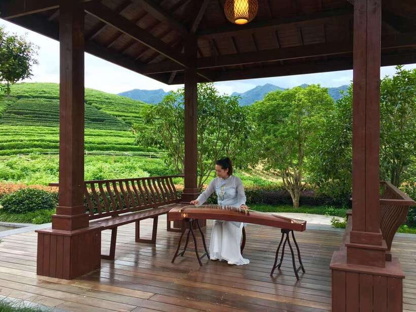Hangzhou Private Day Trip by Bullet Train from Shanghai - Key things to know before you go
