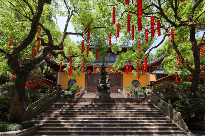 Hangzhou Private Day Trip by Bullet Train from Shanghai - Longjing village tea culture, from tea farmers to emperor tea tasting