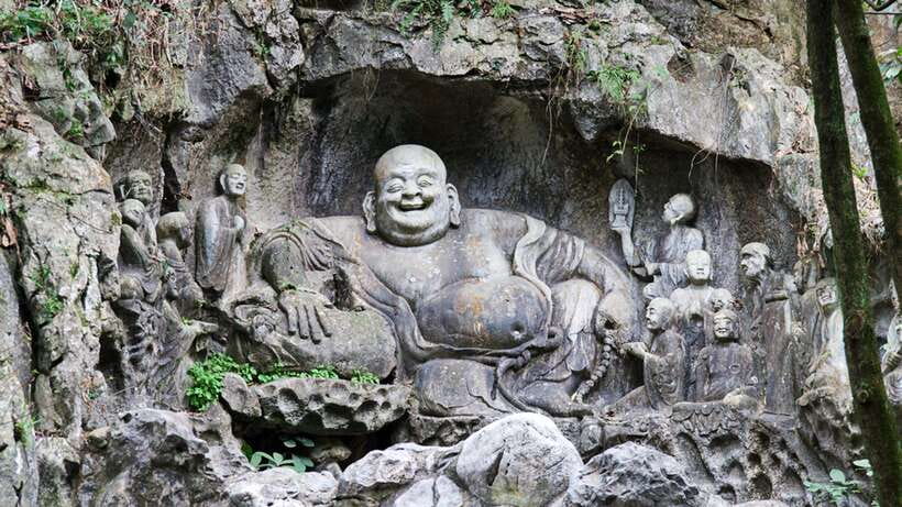 Hangzhou Private One Day Trip from Shanghai by Bullet Train - Longjing Tea Village: Green Tea Tasting, Tea-Field Walking, and Allergy-Friendly Lunch