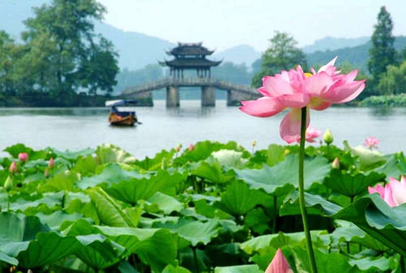 Hangzhou Private One Day Trip from Shanghai by Bullet Train - West Lake UNESCO Xihu: Lotus Park Views and Optional Boat Calm
