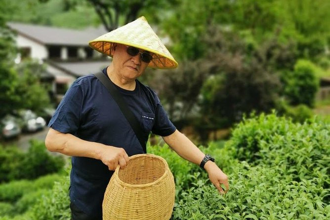 Hangzhou West Lake and Tea Plantation Half Day Tour - A Half Day That Hits the Two Big Hangzhou Wins