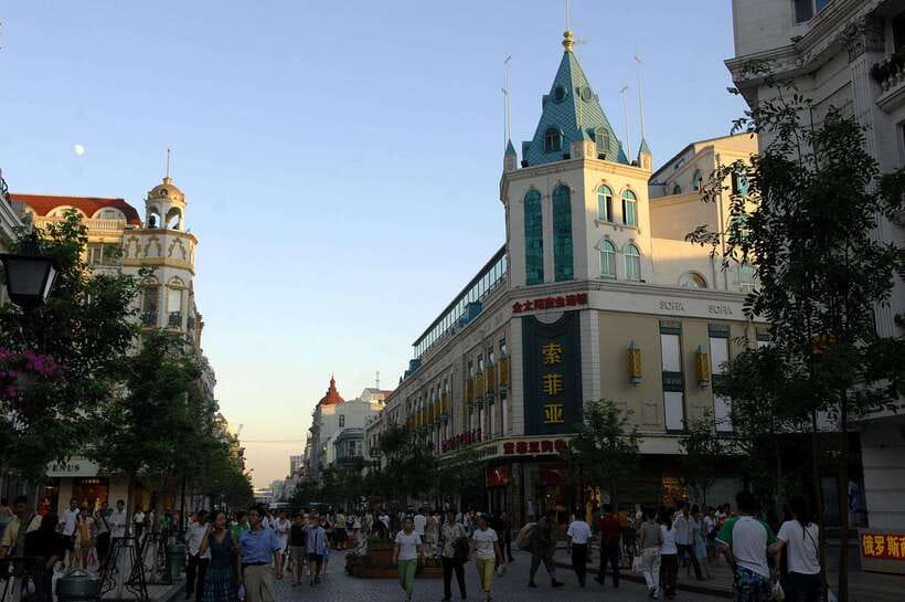 Harbin Ice and Snow Fairyland Private Day Tour - Key reasons this tour works well